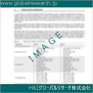 グローバルリサーチ調査資料のイメージ